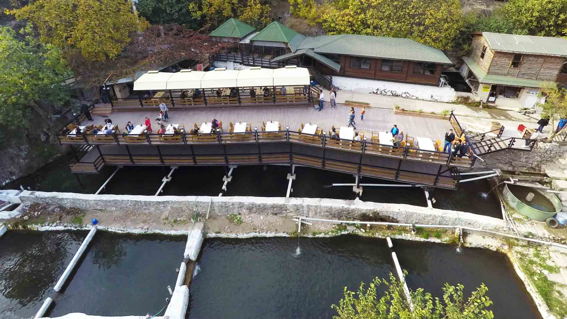 GÜRLE KÖYÜ ALABALIK ÜRETİM TESİSİ MANİSA LEZZETLİ ALABALIK RESTAURANT | TEREYAĞLI ALABALIK | KAŞARLI ALABALIK | KİLO İLE ALABALIK SATIŞI | ALABALIK üRETİM RESTORANT | GÜRLE ALABALIK RESTORANT | GÜRLE MESİRE PİKNİK YERİ | BALIK RESTORANT SATIŞI