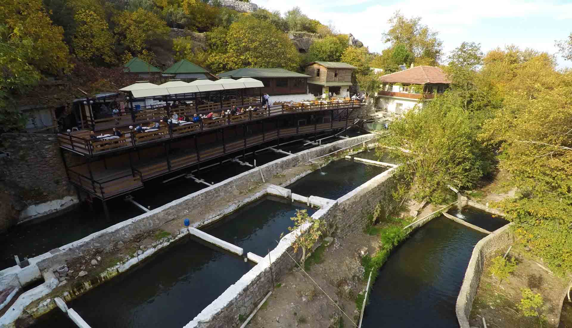 GÜRLE KÖYÜ ALABALIK ÜRETİM TESİSİ MANİSA LEZZETLİ ALABALIK RESTAURANT | TEREYAĞLI ALABALIK | KAŞARLI ALABALIK | KİLO İLE ALABALIK SATIŞI | ALABALIK üRETİM RESTORANT | GÜRLE ALABALIK RESTORANT | GÜRLE MESİRE PİKNİK YERİ | BALIK RESTORANT SATIŞI