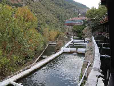 MANİSA GÜRLE ALABALIK RESTORANT RESTAURANT