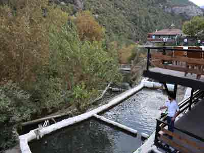 MANİSA GÜRLE ALABALIK RESTORANT RESTAURANT
