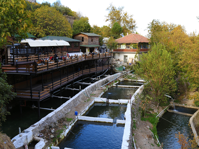 MANİSA GÜRLE ALABALIK RESTORANT RESTAURANT